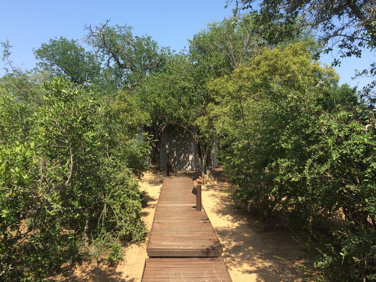 Leadwood Lodge Hoedspruit Luaran gambar