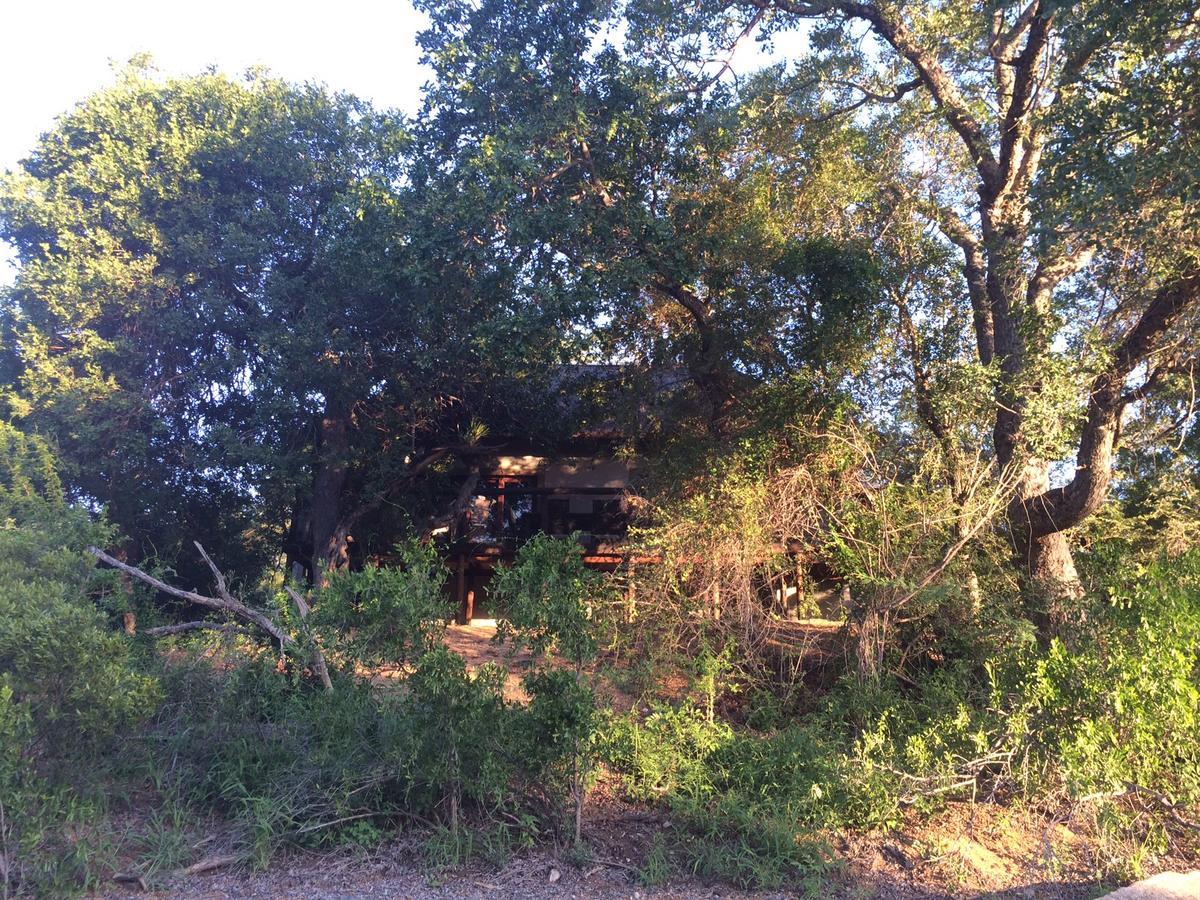 Leadwood Lodge Hoedspruit Luaran gambar