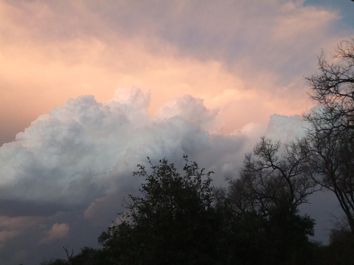 Leadwood Lodge Hoedspruit Luaran gambar