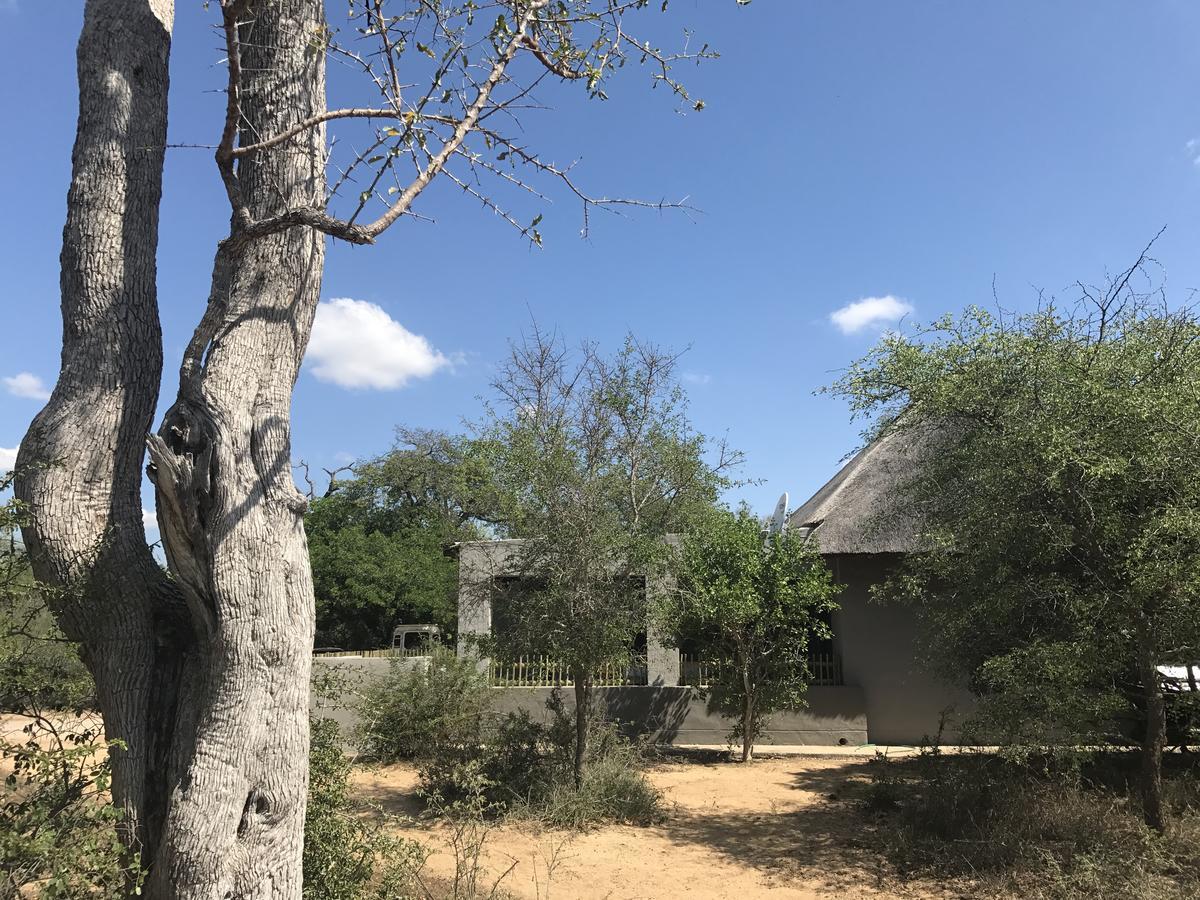 Leadwood Lodge Hoedspruit Luaran gambar