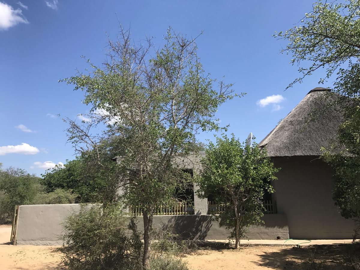 Leadwood Lodge Hoedspruit Luaran gambar